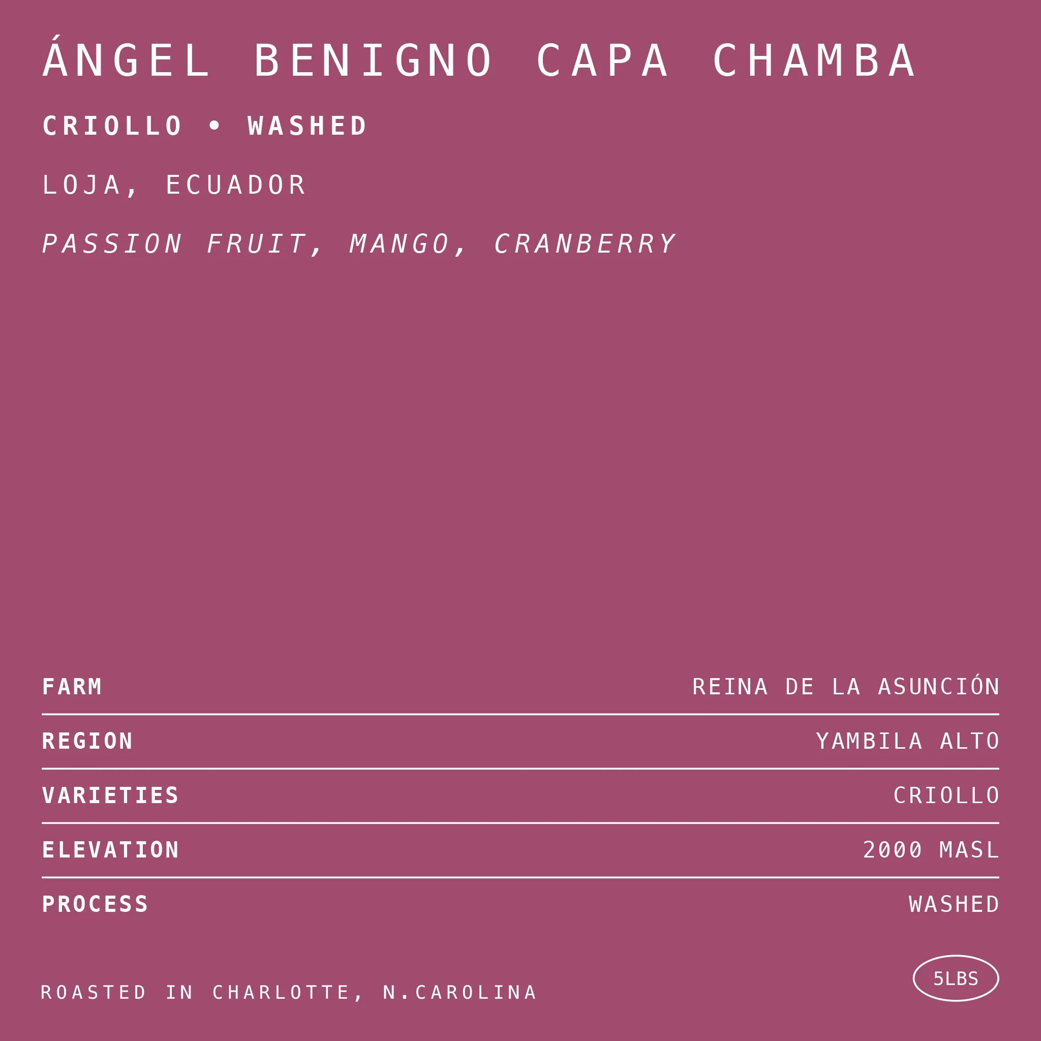 Photo of Ángel Benigno Capa Chamba Criollo • Washed