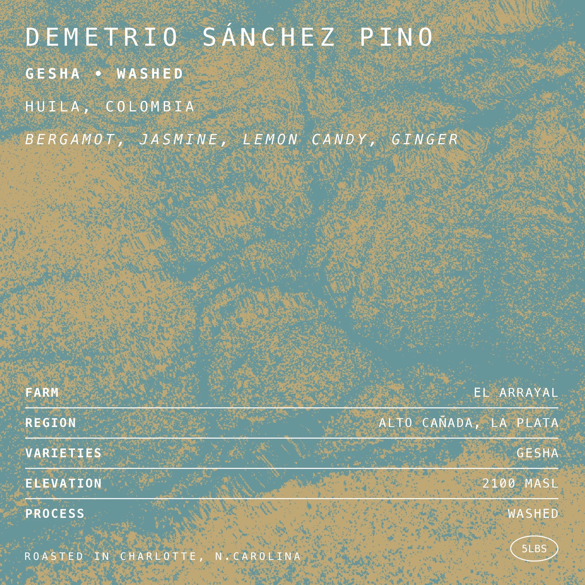 Photo of Demetrio Sanchez Pino Geisha • Washed