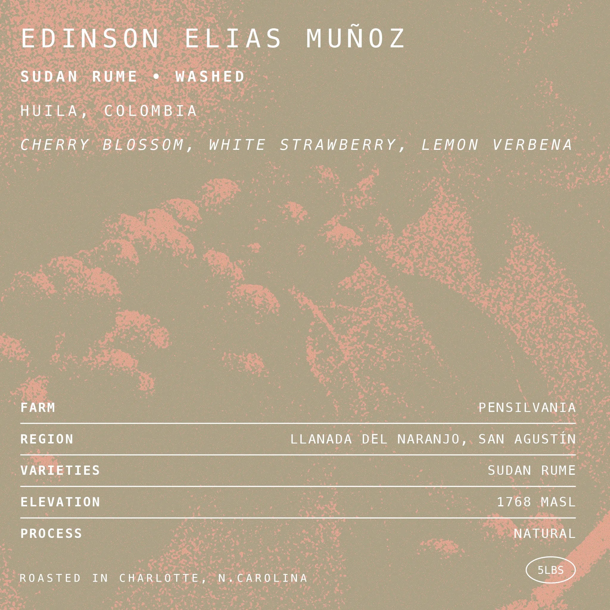 Edinson Elias Muñoz Sudan Rume • Washed