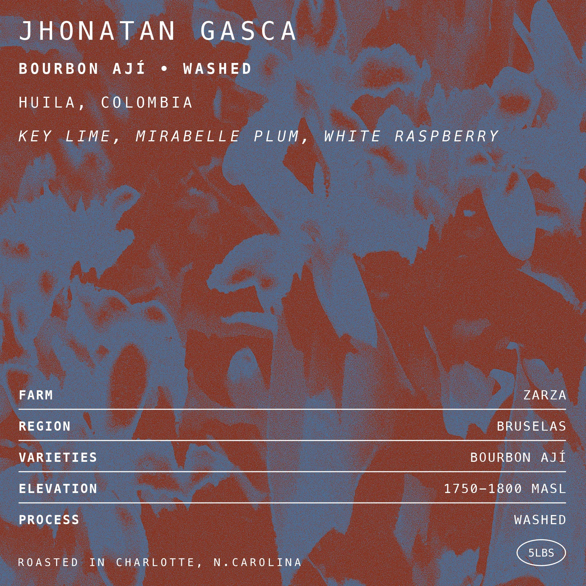 Jhonatan Gasca Bourbon Ají • Washed