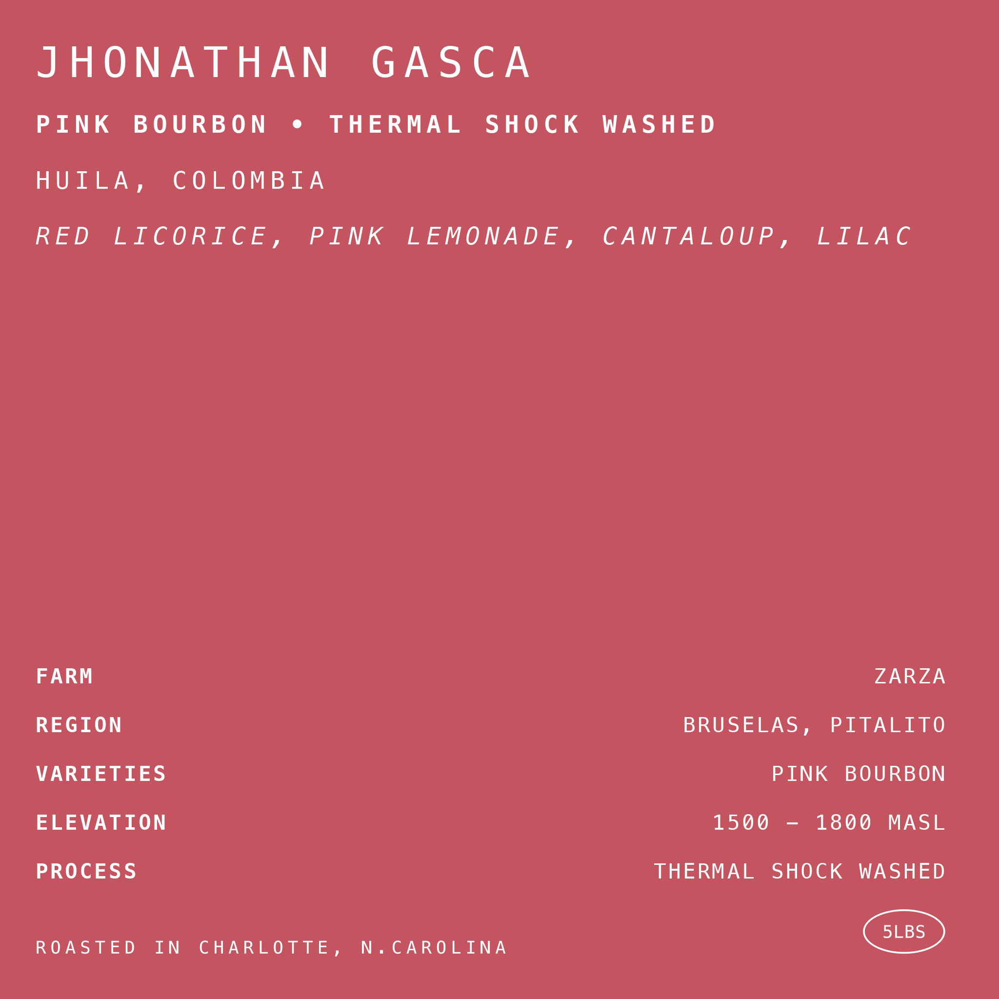 Jhonathan Gasca Pink Bourbon • Thermal Shock Washed