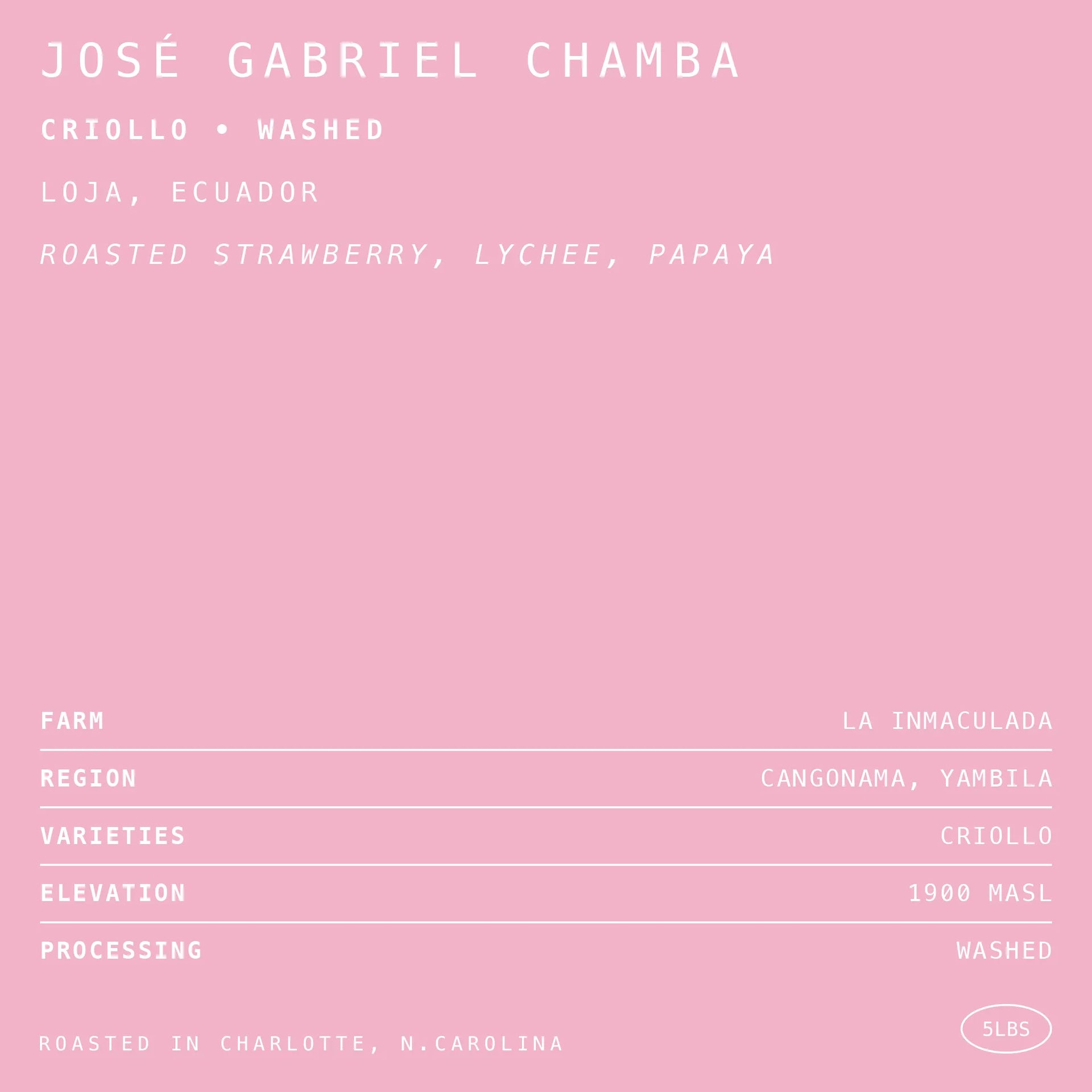 Photo of Jose Gabriel Chamba Criollo Washed Loja Ecuador 1