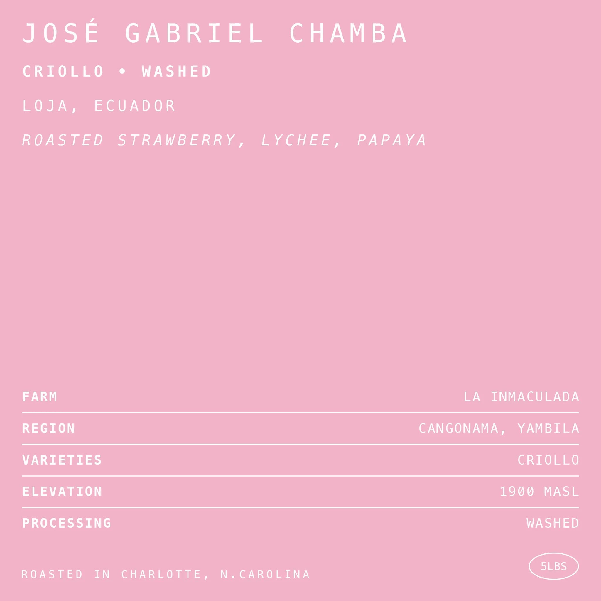José Gabriel Chamba Criollo • Washed [HEX]