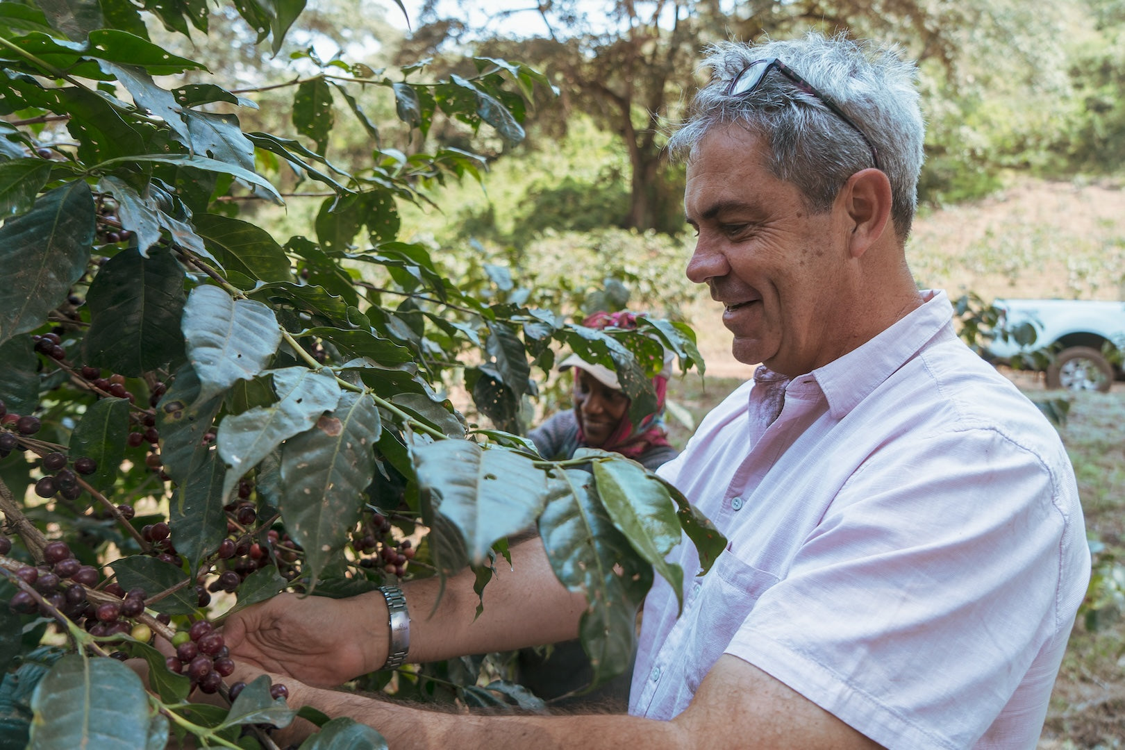 Leon Christianakis - Pacamara // Karatu, Tanzania