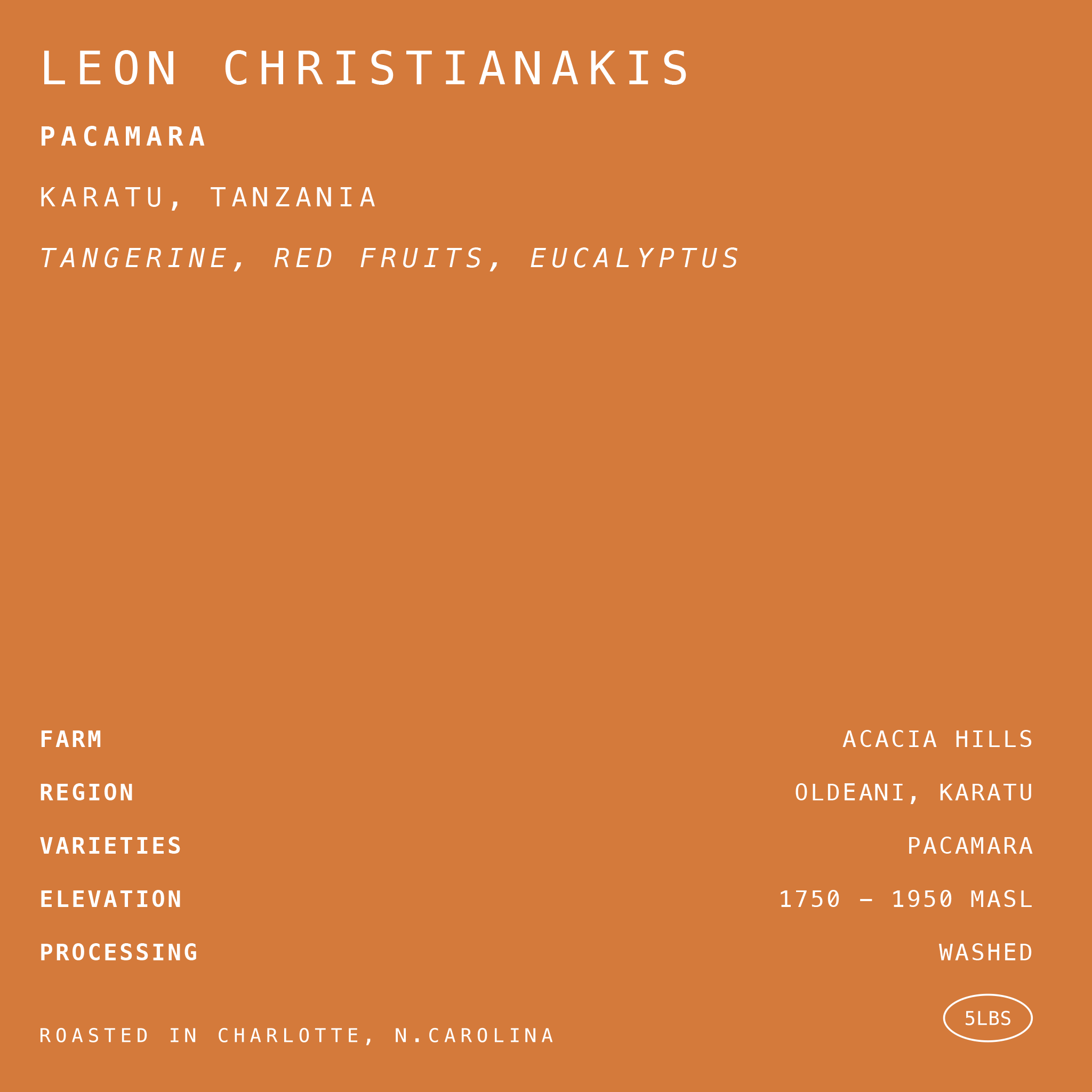 Leon Christianakis - Pacamara