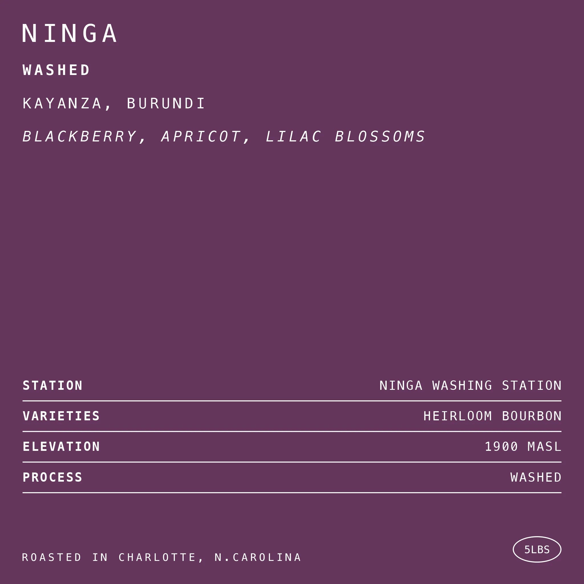 Ninga • Washed // Kayanza, Burundi