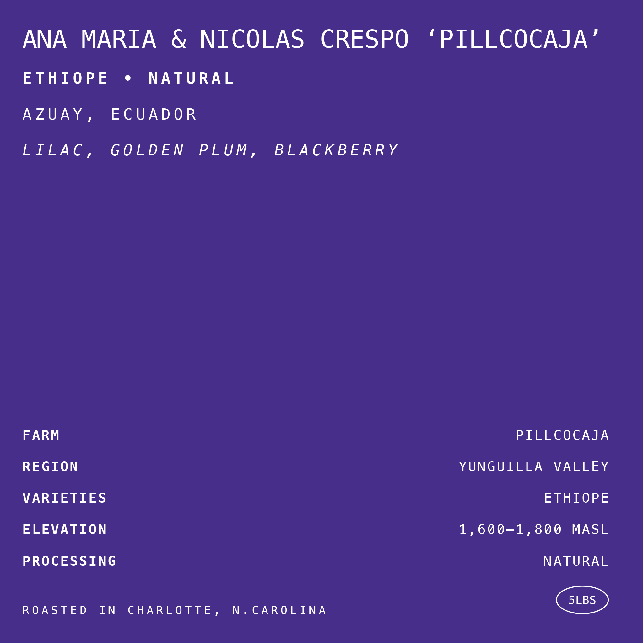 Ana Maria & Nicolas Crespo ‘Pillcocaja’ Ethiope • Natural