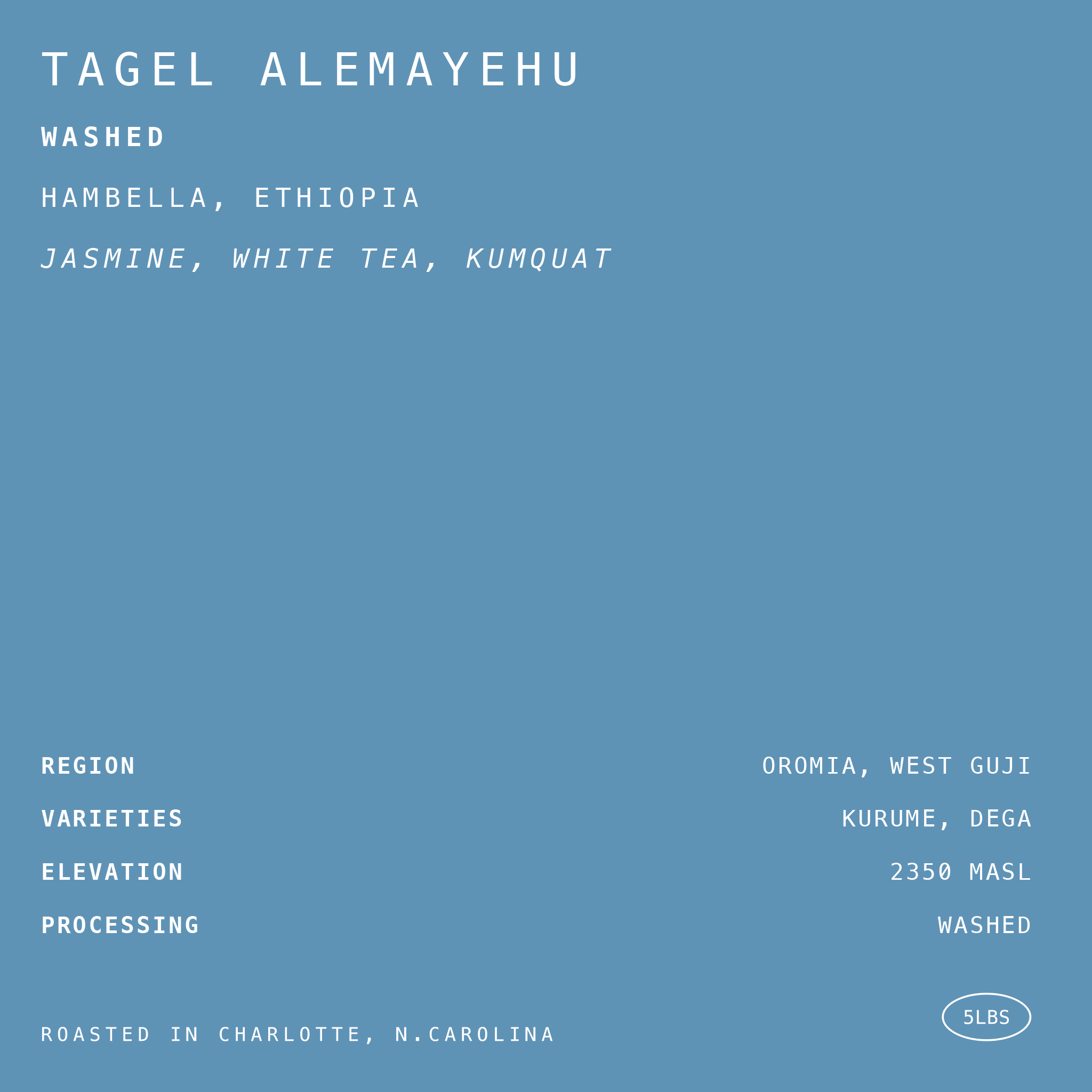 Tagel Alemayehu