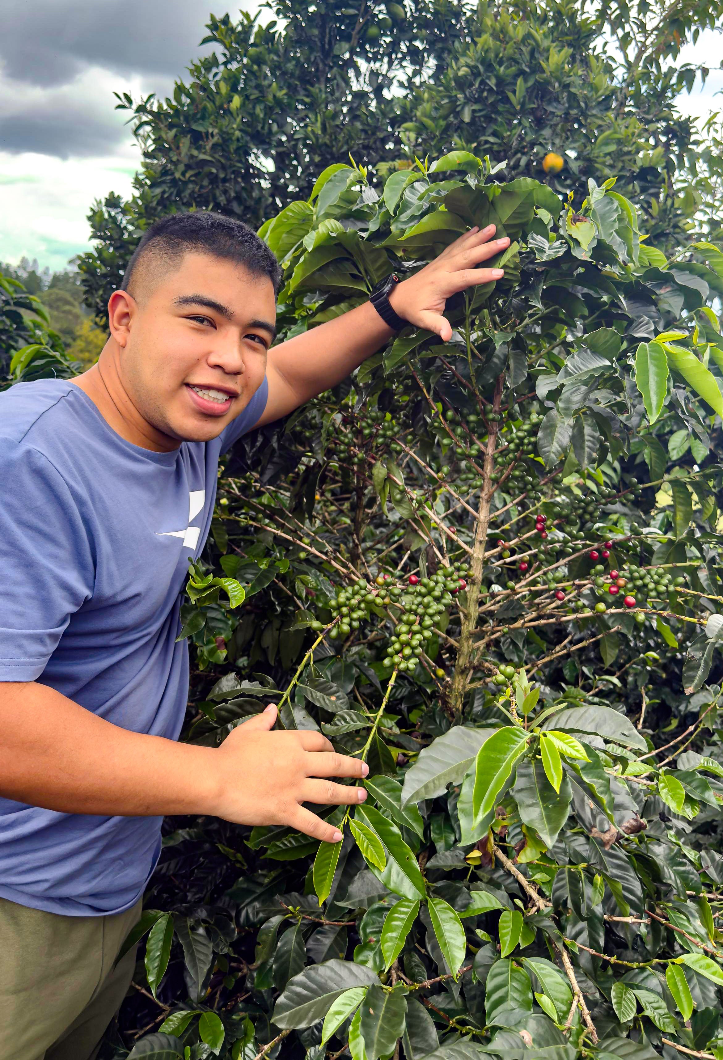 Andrés Martinez Caturra • Yeast-Innoculated Semi-Washed // Cauca, Colombia