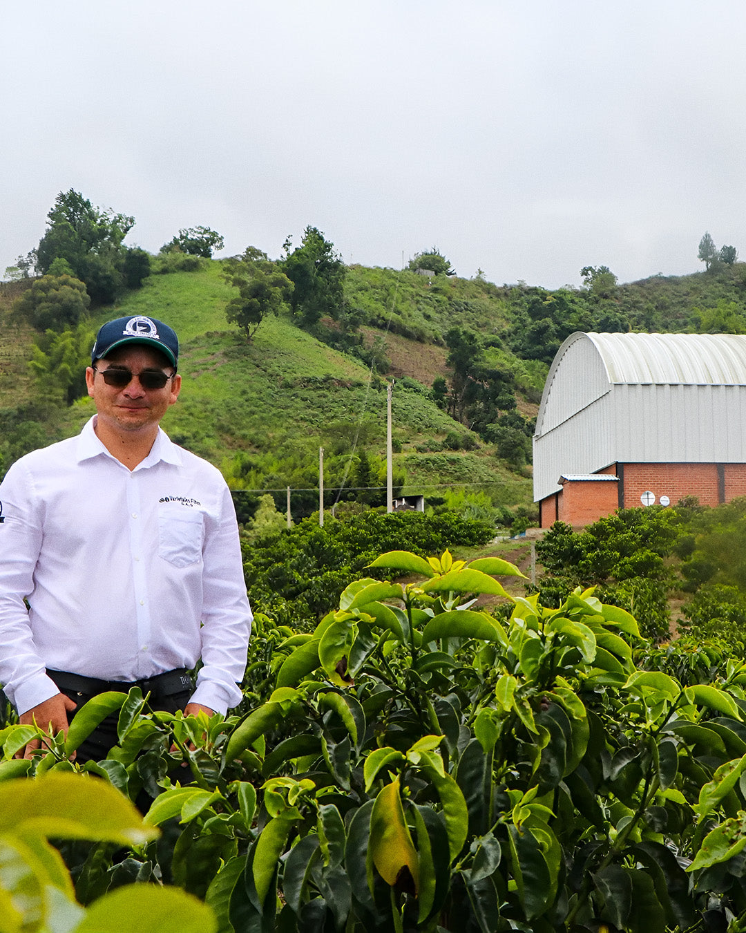 Wilton Benitez - Red Bourbon • Thermal Shock // Cauca, Colombia